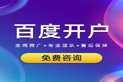 行业领先企业的SEM竞价代运营案例解析